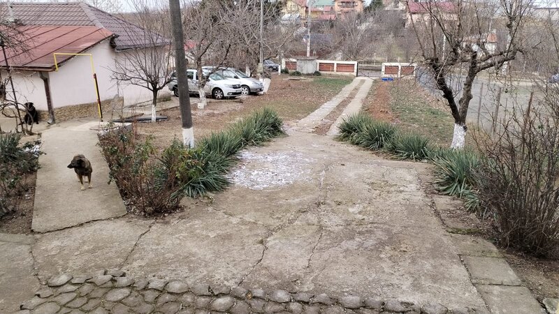 Adunatii Copaceni, inchiriere casa 5 camere p+1 cu centrala proprie